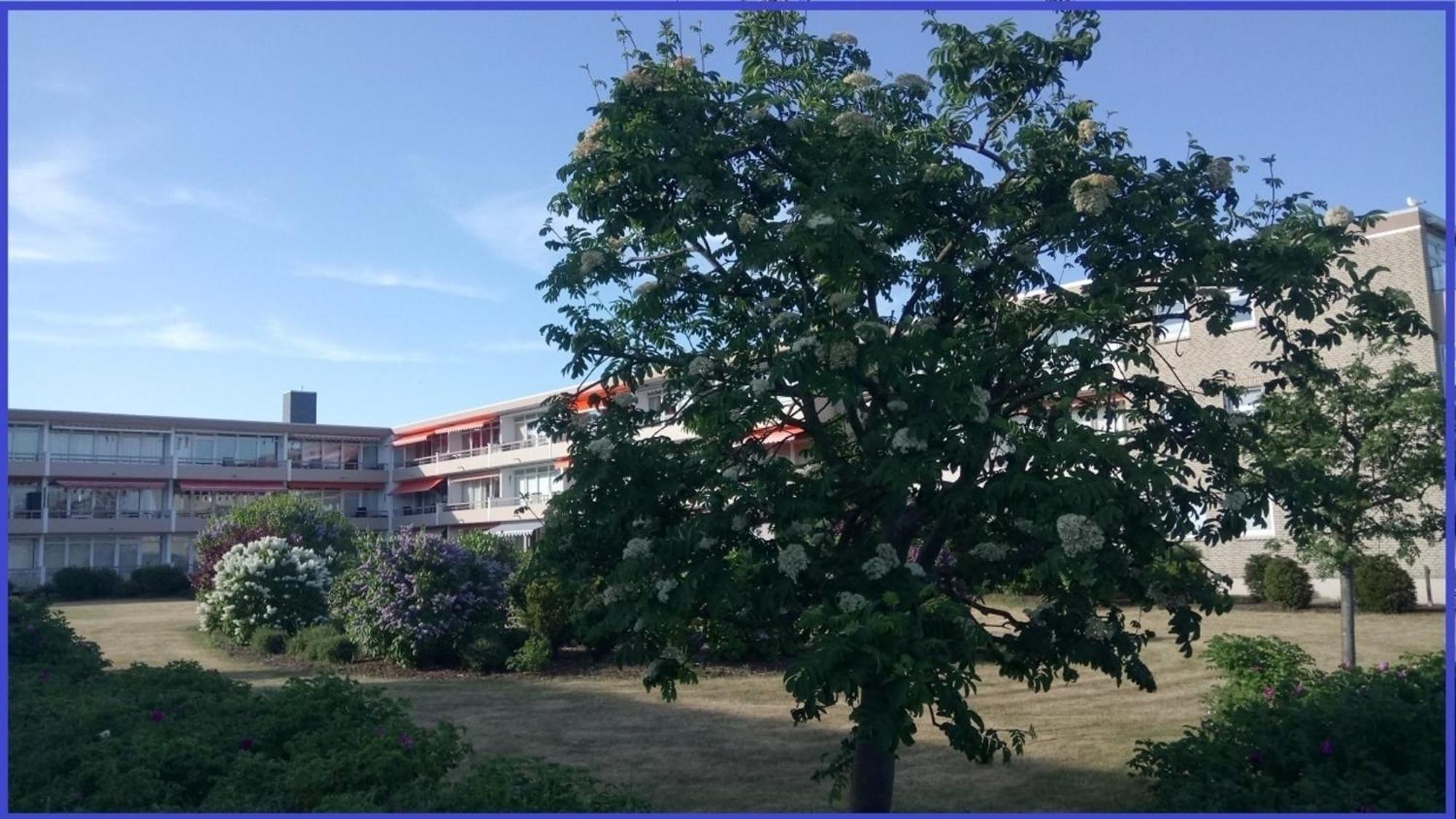 Bonna&#039S Ostsee Oase - Haus Baltic - Whg 180 - Inkl Gratis Wlan Und Saisonstrandkorb เกรอมิทซ์ ภายนอก รูปภาพ